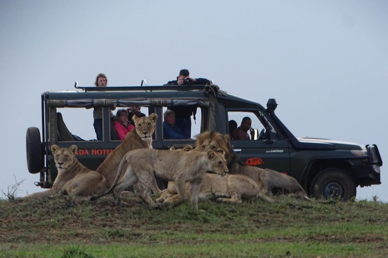 Fig Tree Camp - Maasai Mara Talek